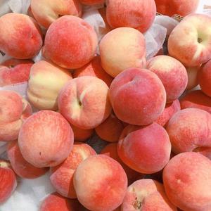 裸体裸乳被🍑学生
