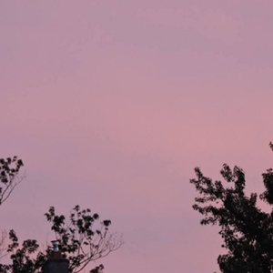 裸体裸乳被🍑学生
