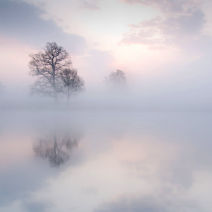 裸体裸乳被🍑学生
