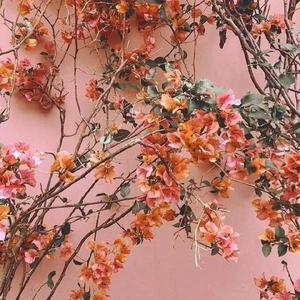 裸体裸乳被🍑学生
